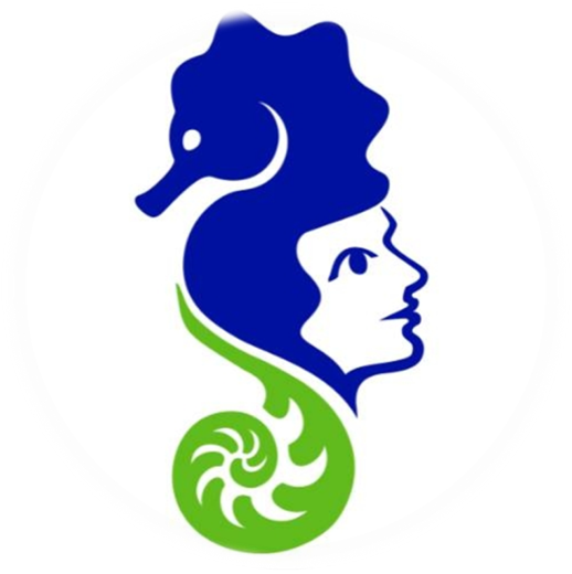 Santé environnement 06